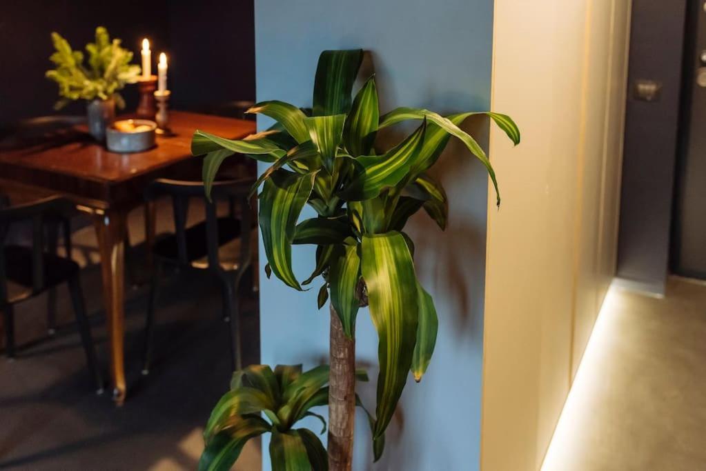 Luxury Downtown Apartment Bukares Bagian luar foto